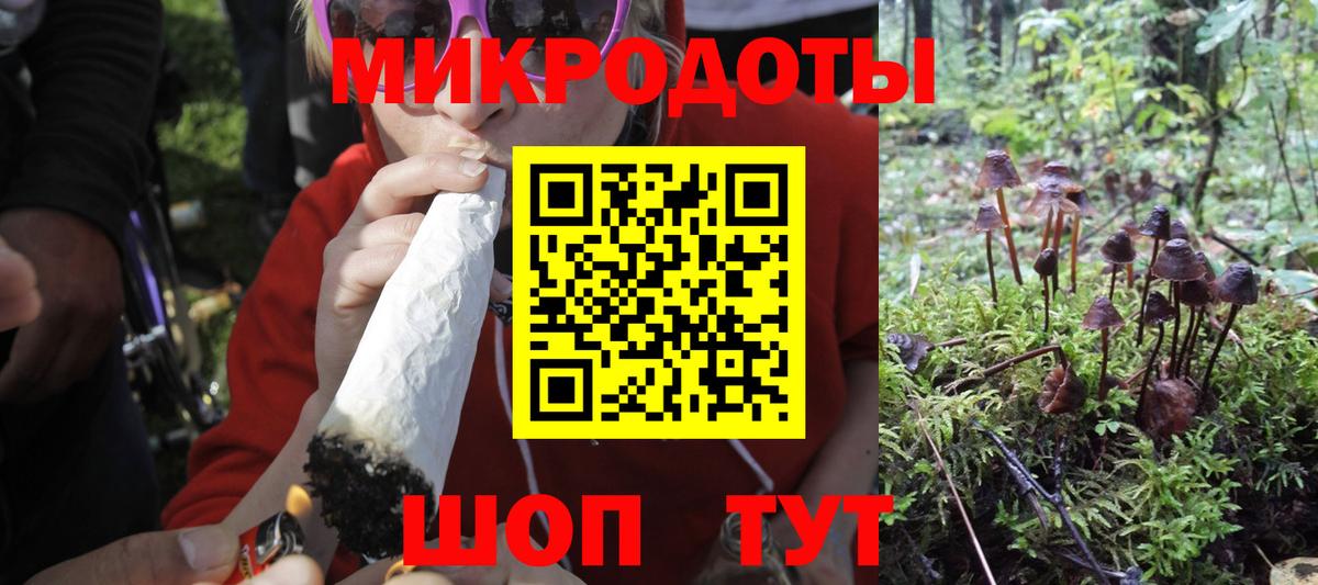 Сафоново  Псилоцибиновые грибы Magic Shrooms  наркотики  Вход с VPN  Галлюциногенные грибы Psilocybe 