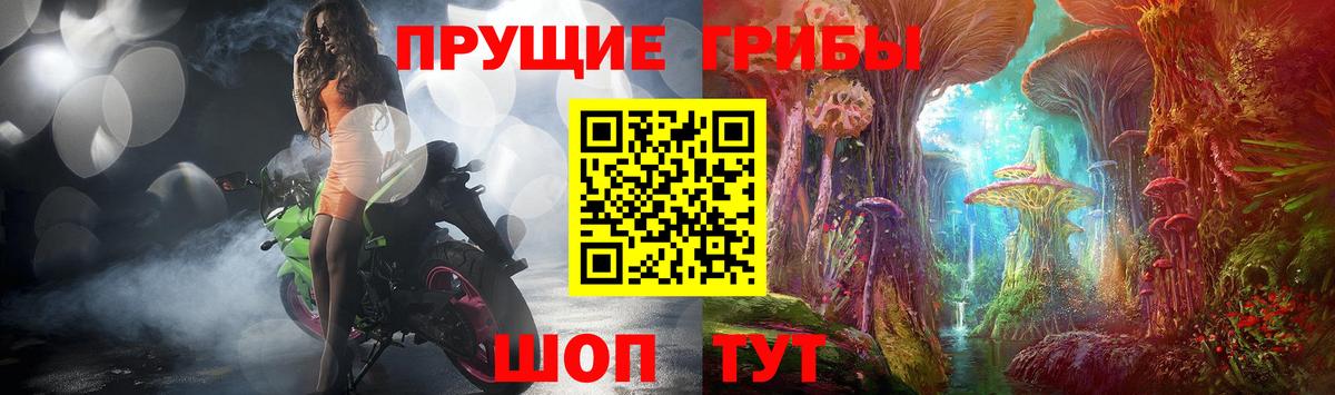 Псилоцибиновые грибы Psilocybine cubensis Сафоново